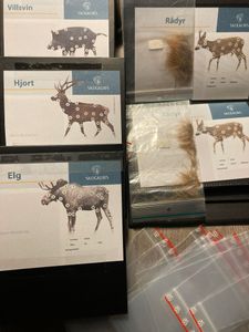 Hovedbilde Snitth&aring;rsb&oslash;ker - R&Aring;DYR